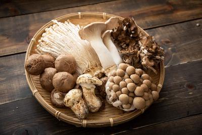 Mushrooms Drug Effects | Health Street blog article