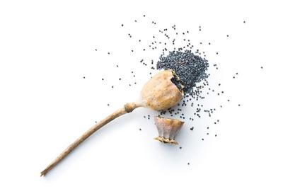 TV Shows Wrong About Poppy Seeds and Drug Tests | Health Street blog article