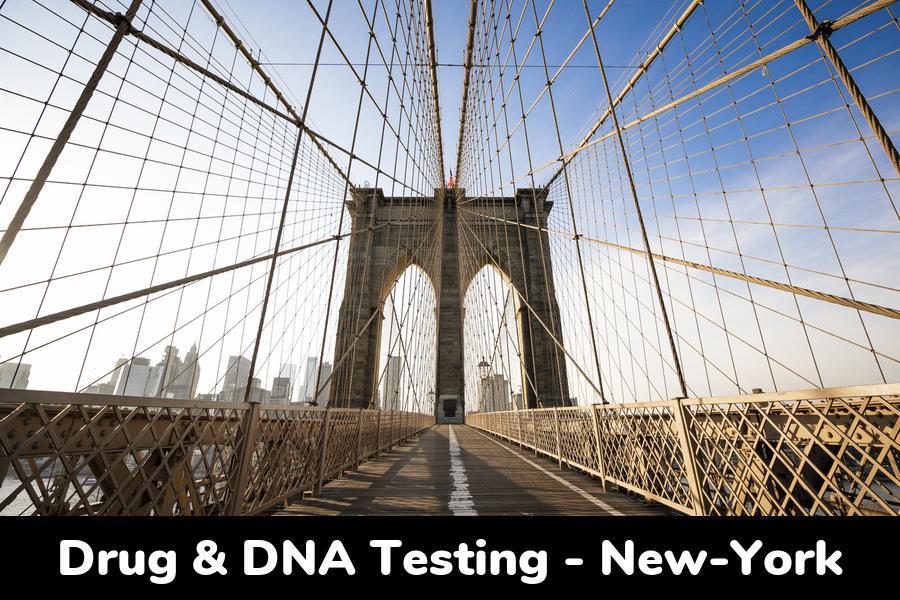 New York DNA & Drug Testing: Clinic Locations by City in NY