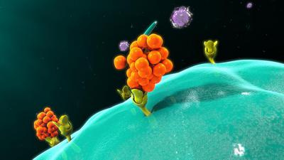 Indeterminate Results for COVID-19 Antibody - Retesting is Required - Health Street blog article