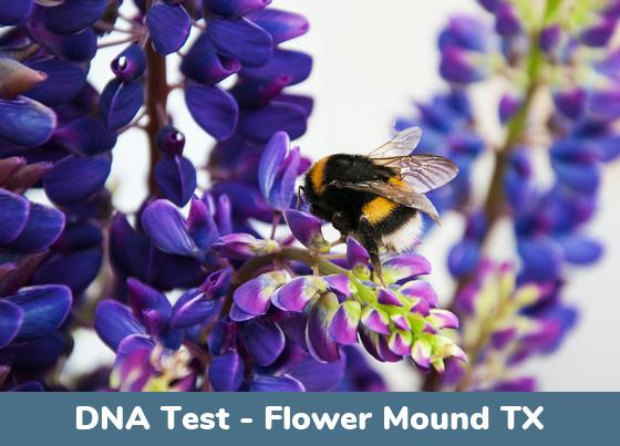Flower Mound TX DNA Testing Locations