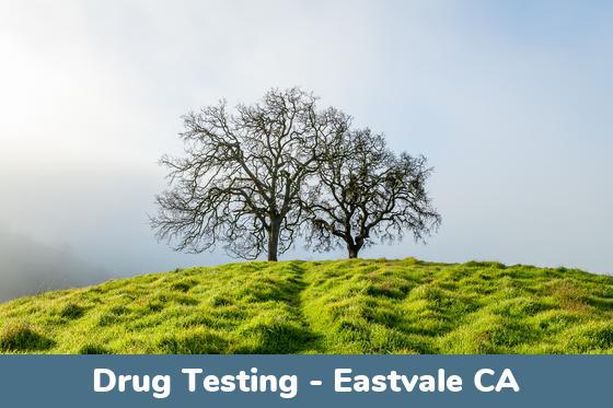 Eastvale CA Drug Testing Locations