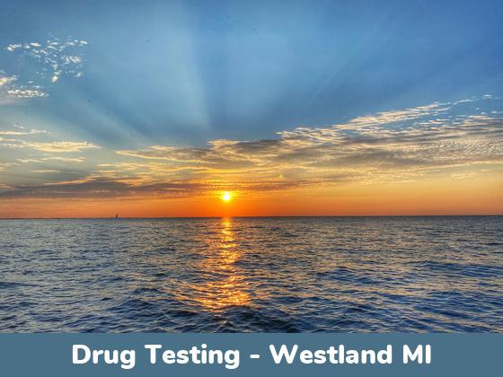Westland MI Drug Testing Locations