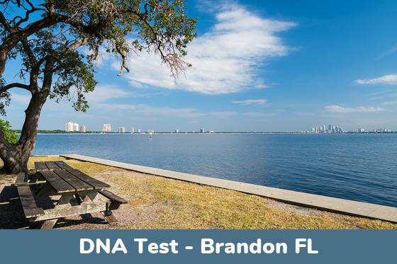 Brandon FL DNA Testing Locations