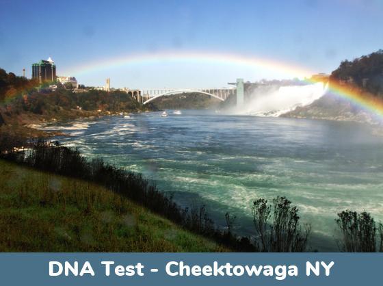 Cheektowaga NY DNA Testing Locations