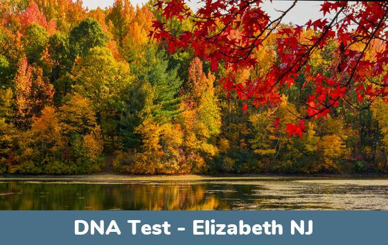 Elizabeth NJ DNA Testing Locations