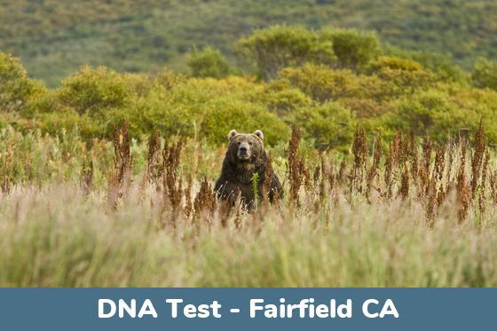 Fairfield CA DNA Testing Locations