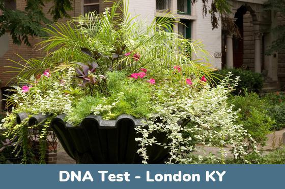 London KY DNA Testing Locations