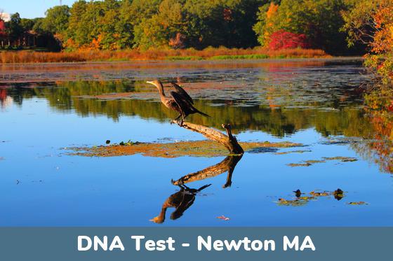 Newton MA DNA Testing Locations