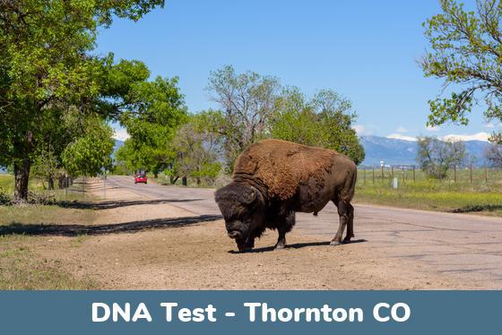 Thornton CO DNA Testing Locations