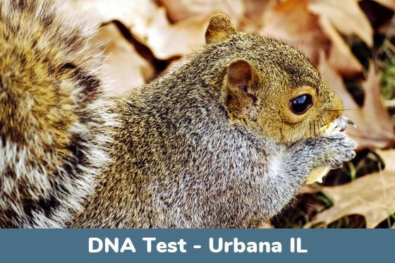 Urbana IL DNA Testing Locations