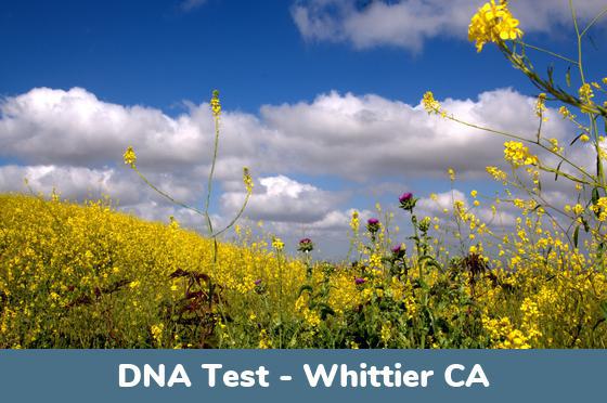 Whittier CA DNA Testing Locations