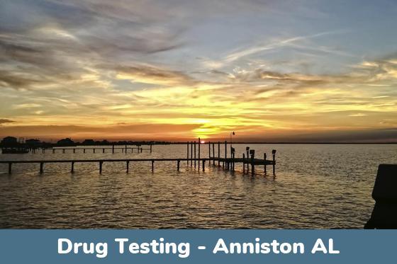 Anniston AL Drug Testing Locations