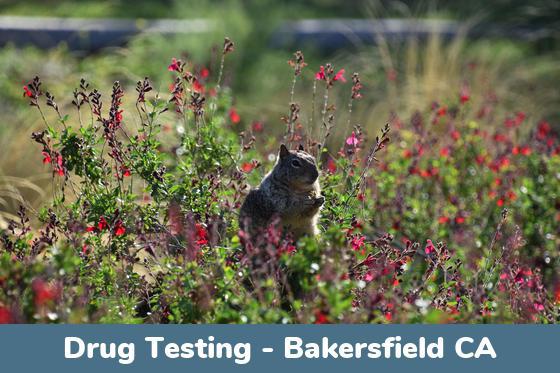 Bakersfield CA Drug Testing Locations