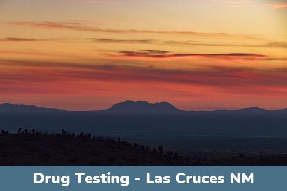 Las Cruces NM Drug Testing Locations