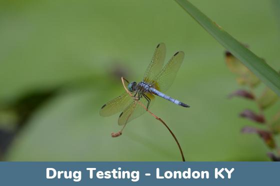 London KY Drug Testing Locations