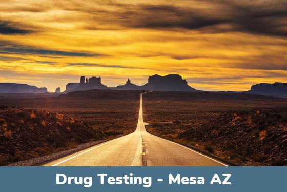 Mesa AZ Drug Testing Locations