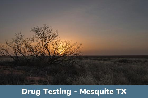 Mesquite TX Drug Testing Locations