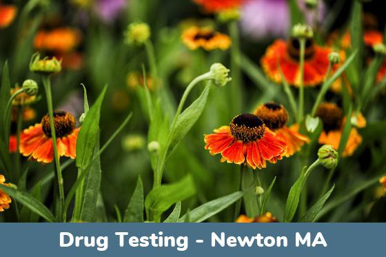 Newton MA Drug Testing Newton MA Drug Testing Locations
