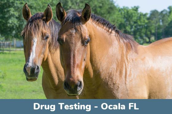 Ocala FL Drug Testing Locations