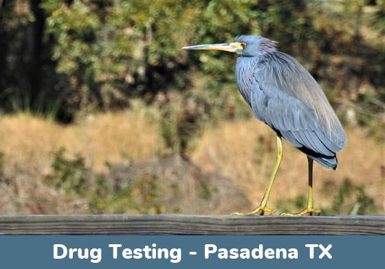 Pasadena TX Drug Testing Locations