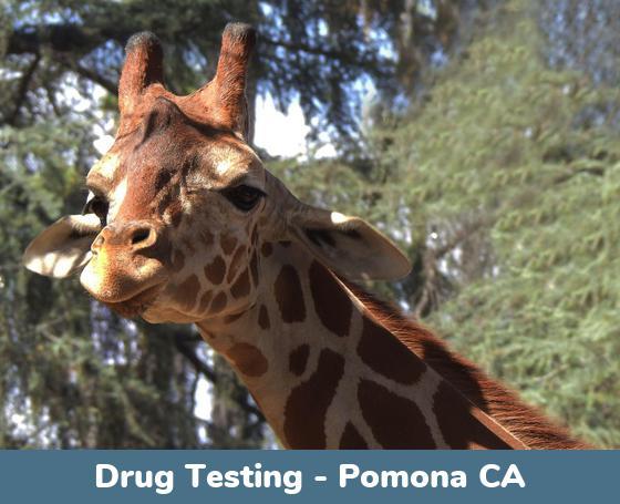 Pomona CA Drug Testing Locations
