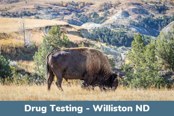 Williston ND Drug Testing Locations