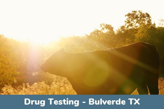 Bulverde TX Drug Testing Locations