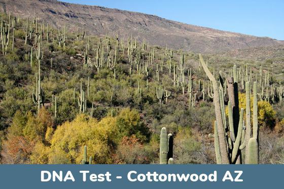 Cottonwood AZ DNA Testing Locations