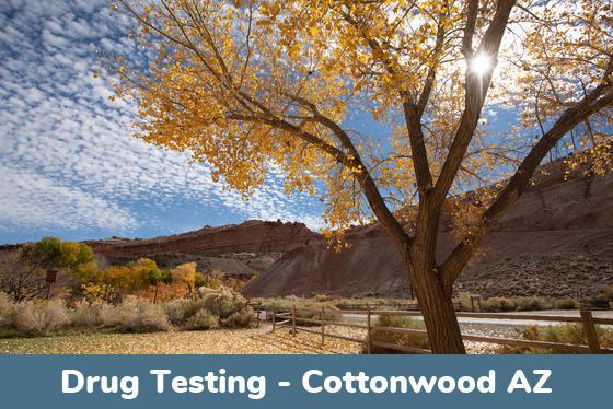 Cottonwood AZ Drug Testing Locations