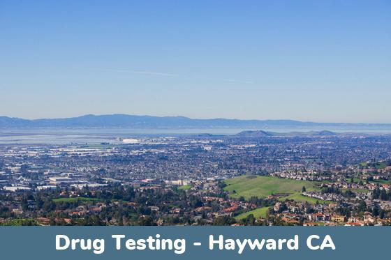 Hayward CA Drug Testing Locations