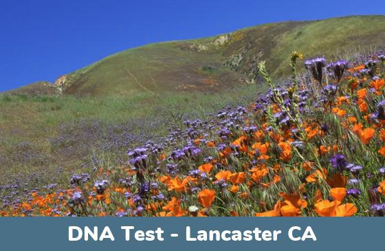 Lancaster CA DNA Testing Locations