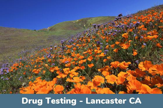 Lancaster CA Drug Testing Locations