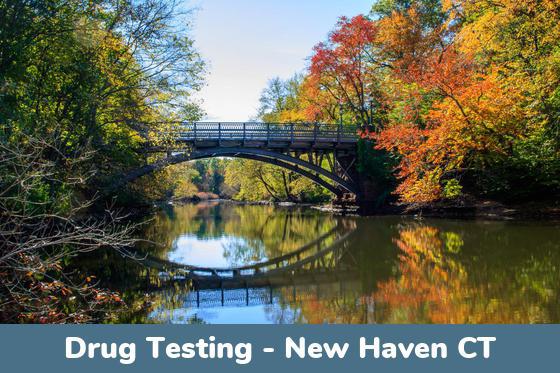 New Haven CT Drug Testing Locations