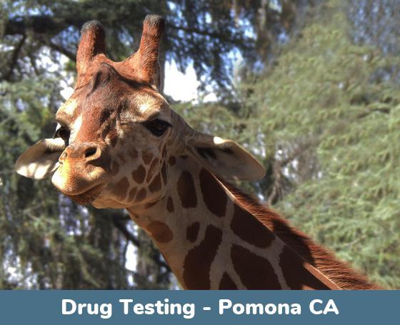 Pomona CA Drug Testing Pomona CA Drug Testing Locations