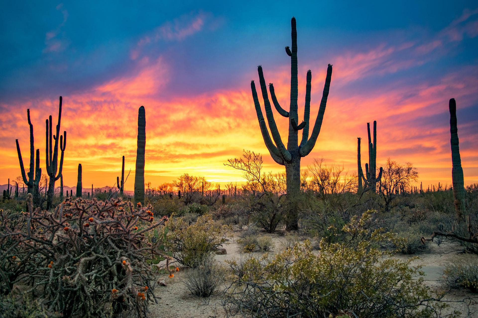 Arizona Background Checks - Health Street