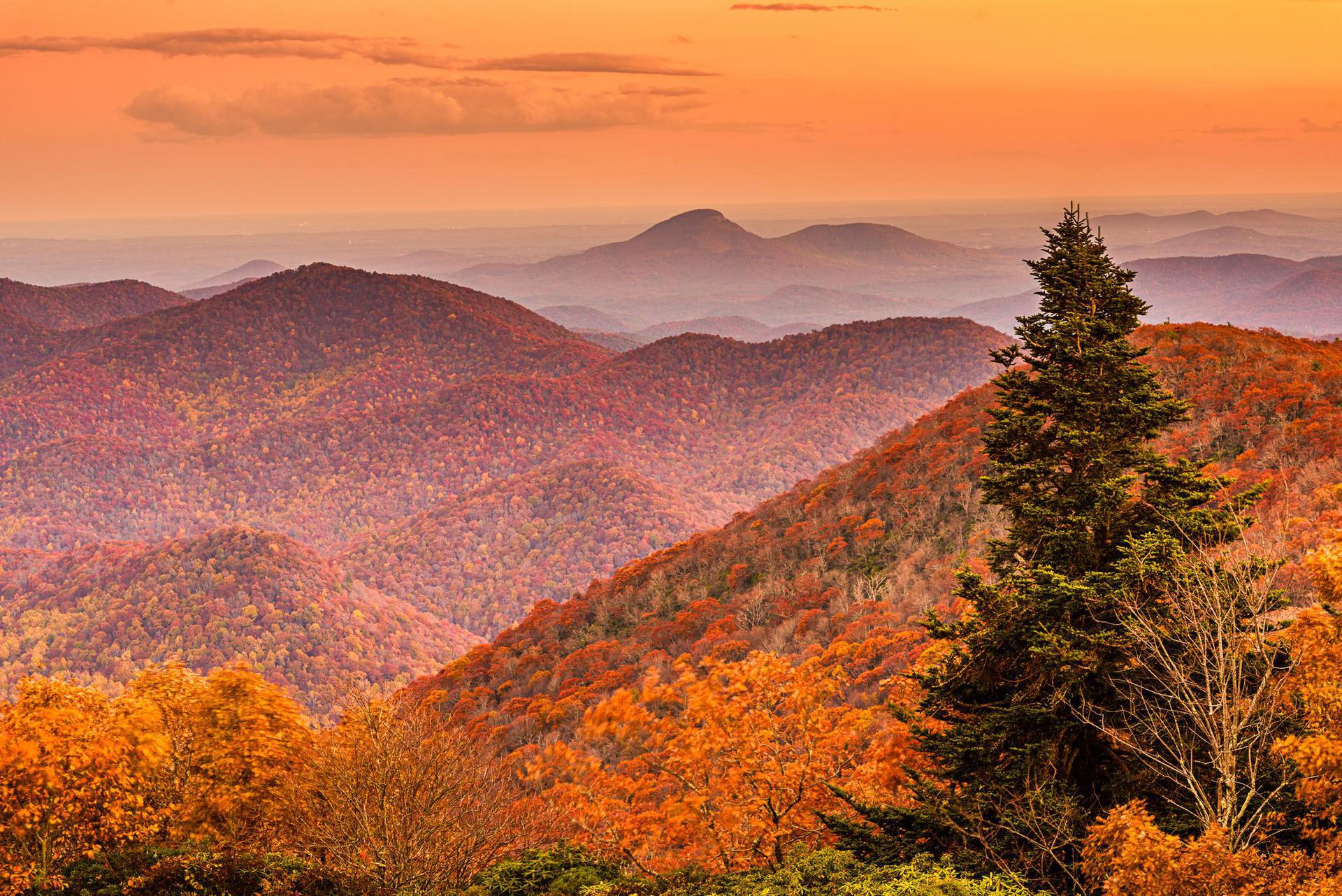 Georgia Background Checks - state-background-check-featured-image