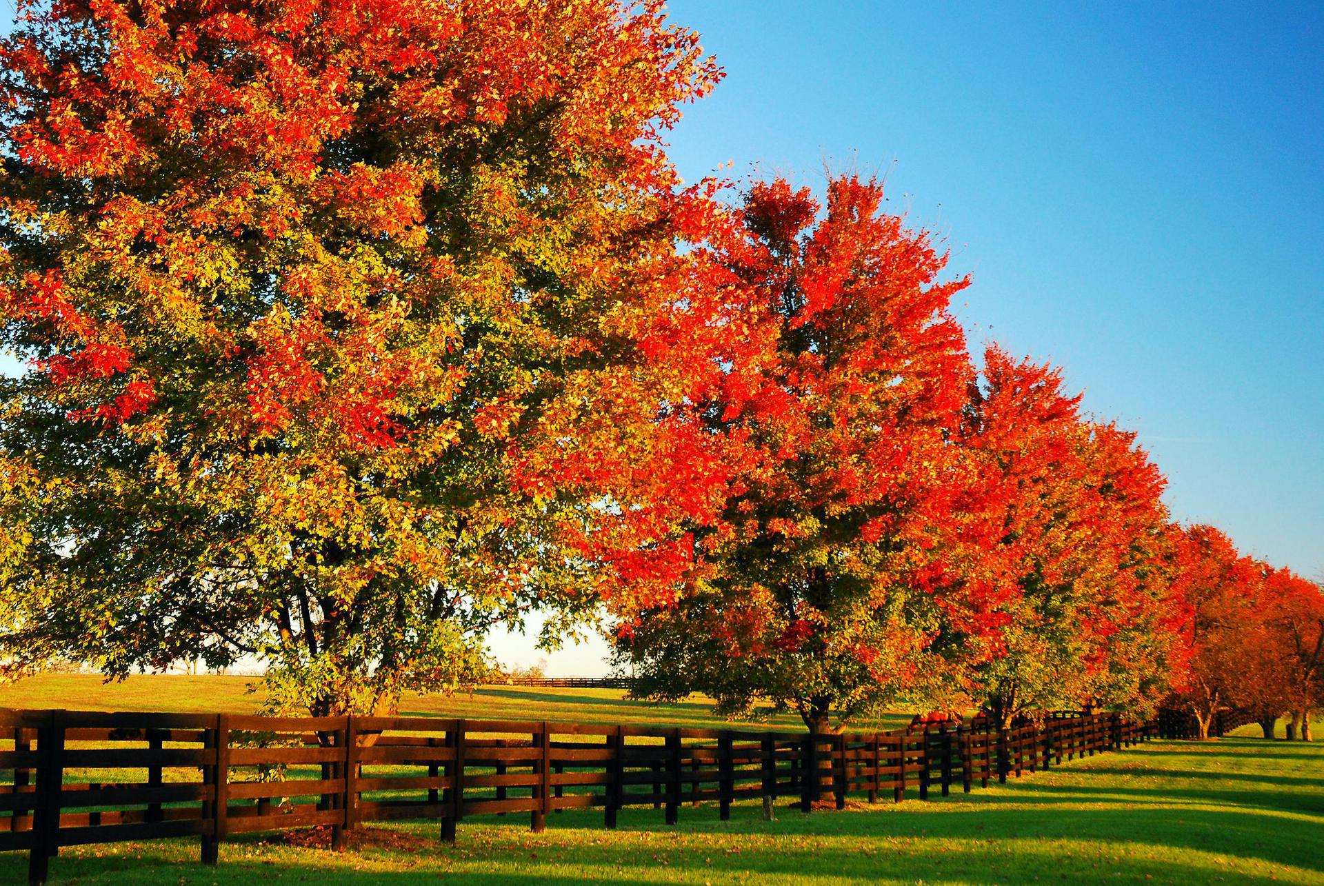 Kentucky Background Checks - state-background-check-featured-image