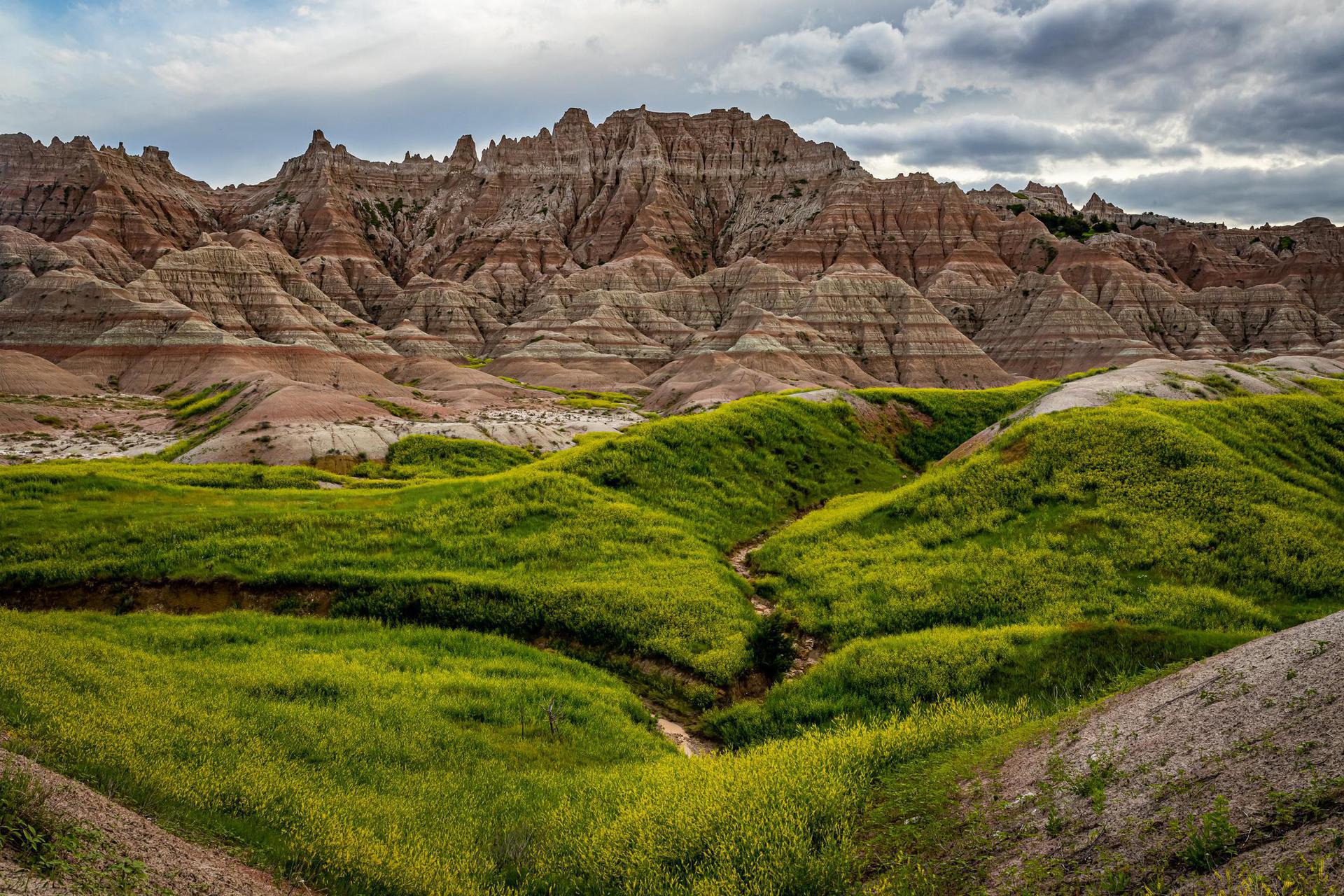 South Dakota Background Checks - state-background-check-featured-image