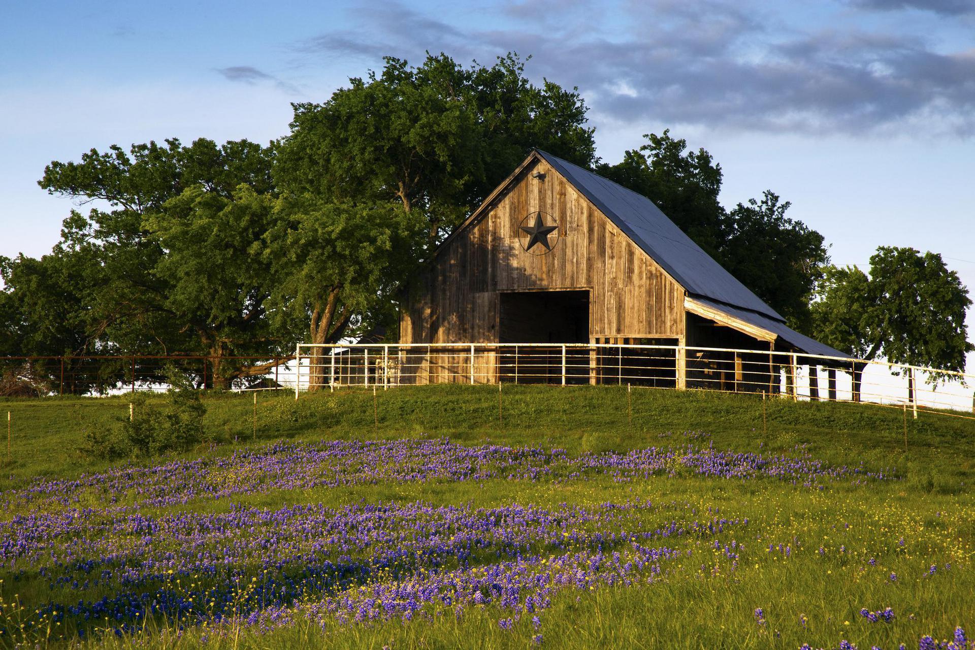 Texas Background Checks - state-background-check-featured-image