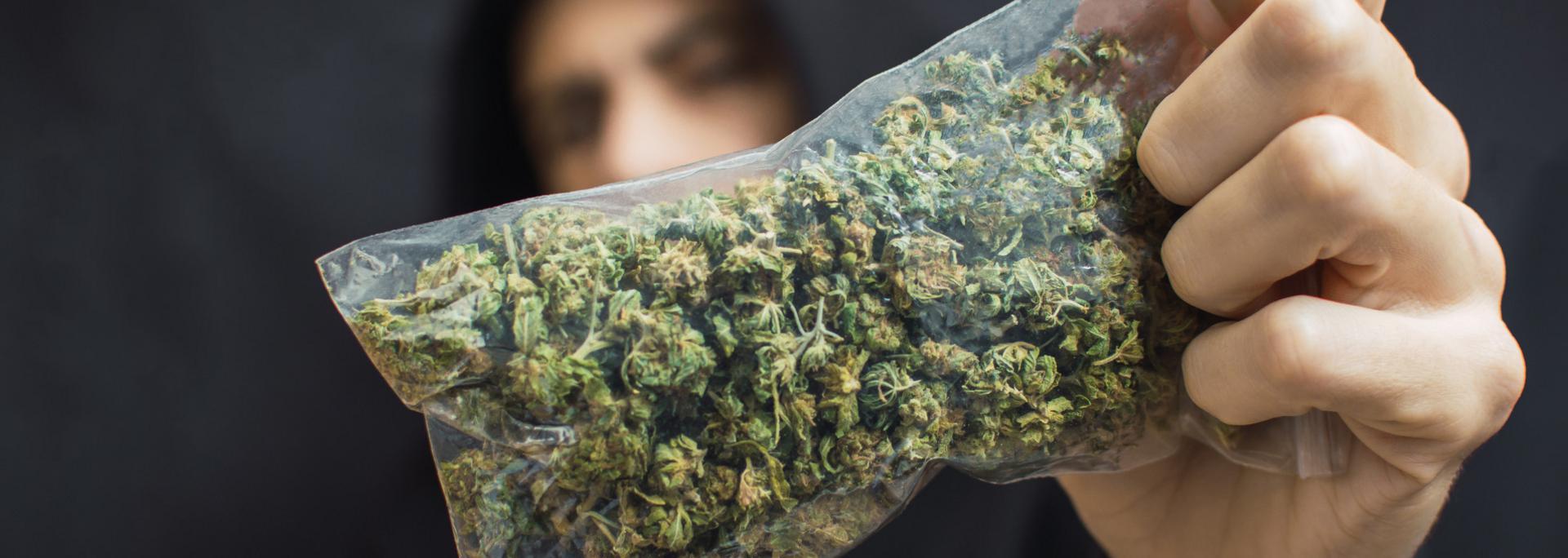 Spice (K2, Synthetic Marijuana, Synthetic Weed) Spice (K2, Synthetic Marijuana, Synthetic Weed) - info-hero